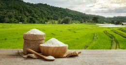 Riža - temelj azijske kulture i svjetske kuhinje