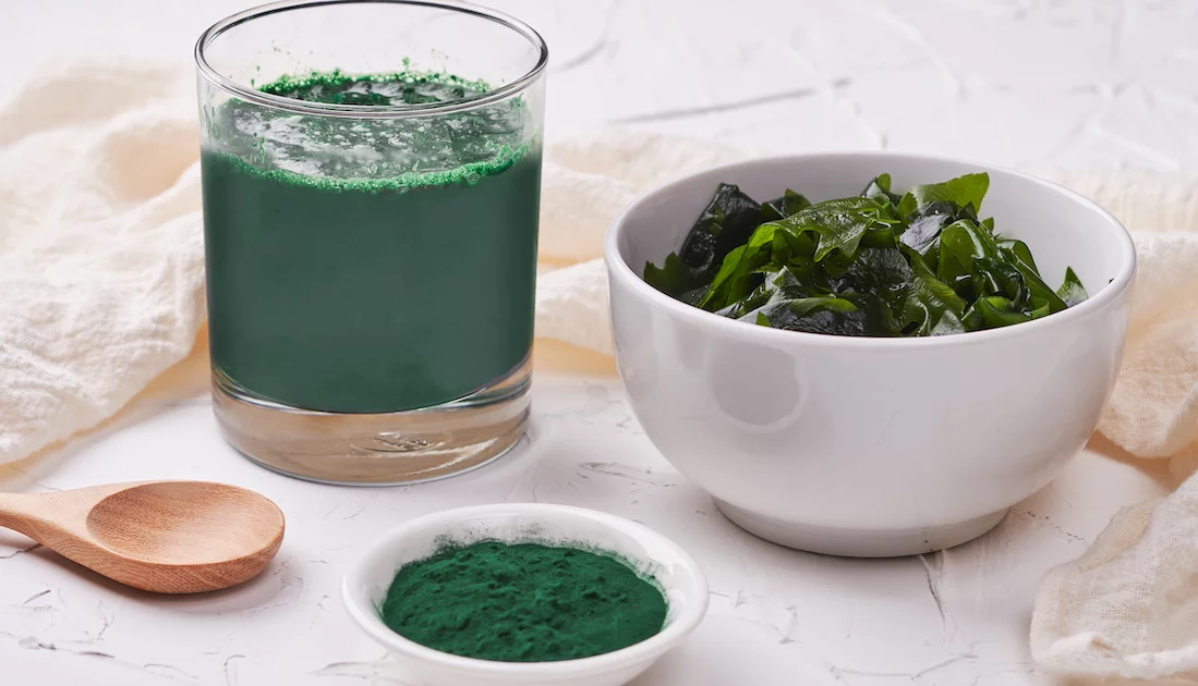 Kelp alga za zdravlje i boljitak štitnjače