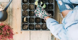 Ideje za mini vrt na balkonu ili terasi: Ovo bilje, voće i povrće idealno je zasaditi u ožujku!