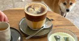 Hojicha čaj - je li bolji od matche, kako ga piti i zašto svi o njemu pričaju...