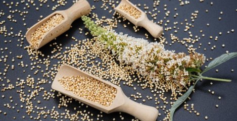 5 načina da kvinoju uvrstite u svoje recepte!