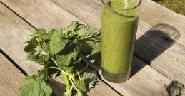 Smoothie od koprive za čišćenje organizma od toksina