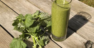 smoothie od koprive Smoothie od koprive za čišćenje organizma od toksina