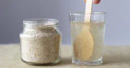 Čišćenje crijeva prirodnim putem s Psylliumom i jogurtom